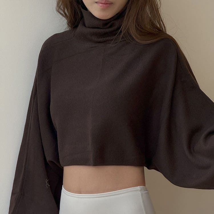 ゆったりシルエット短丈タートルネックトップス レディース